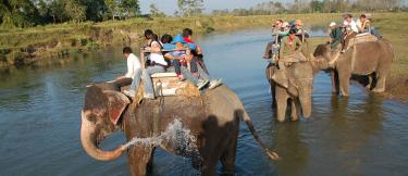 3580chitwan-jungle-safari 