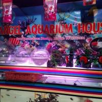 46154428_775665639442003_4976922409417310208_n 