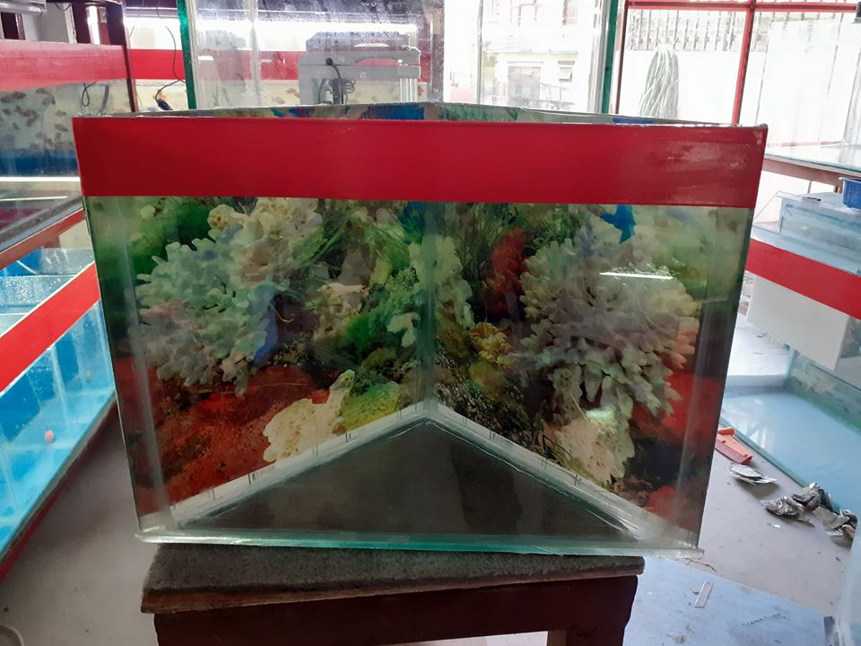 The Aquarium World, MAHARAJGUNJ, Kathmandu