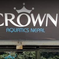 Annotation 2020-02-16 155803 