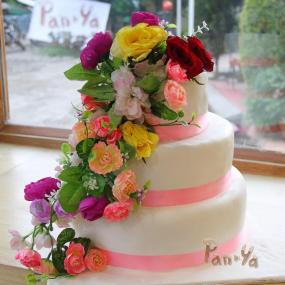 44981074_1920547641374638_320993434657619968_n 