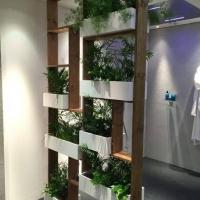 87847455_2527540937488953_6386129959810760704_n 