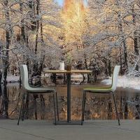 FB_IMG_1585283084010 