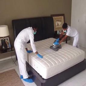 mattress-cleaning-services 