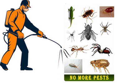 pest-control-services-500x500 