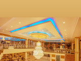 auricles1 