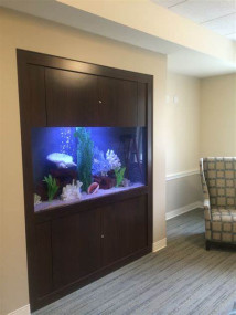 wall aquarium 