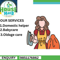 Domestic helper (2) 