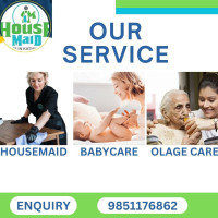 Domestic helper (3) 